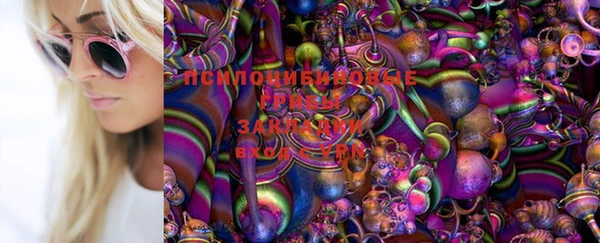 гидра Арсеньев