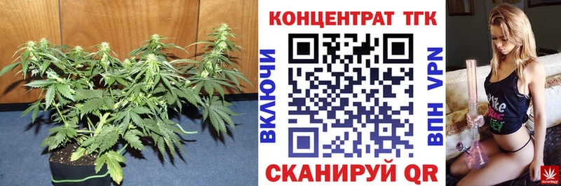 где можно купить наркотик  Опочка  Дистиллят ТГК гашишное масло 