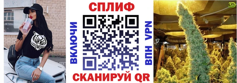 Конопля ГИДРОПОН Опочка